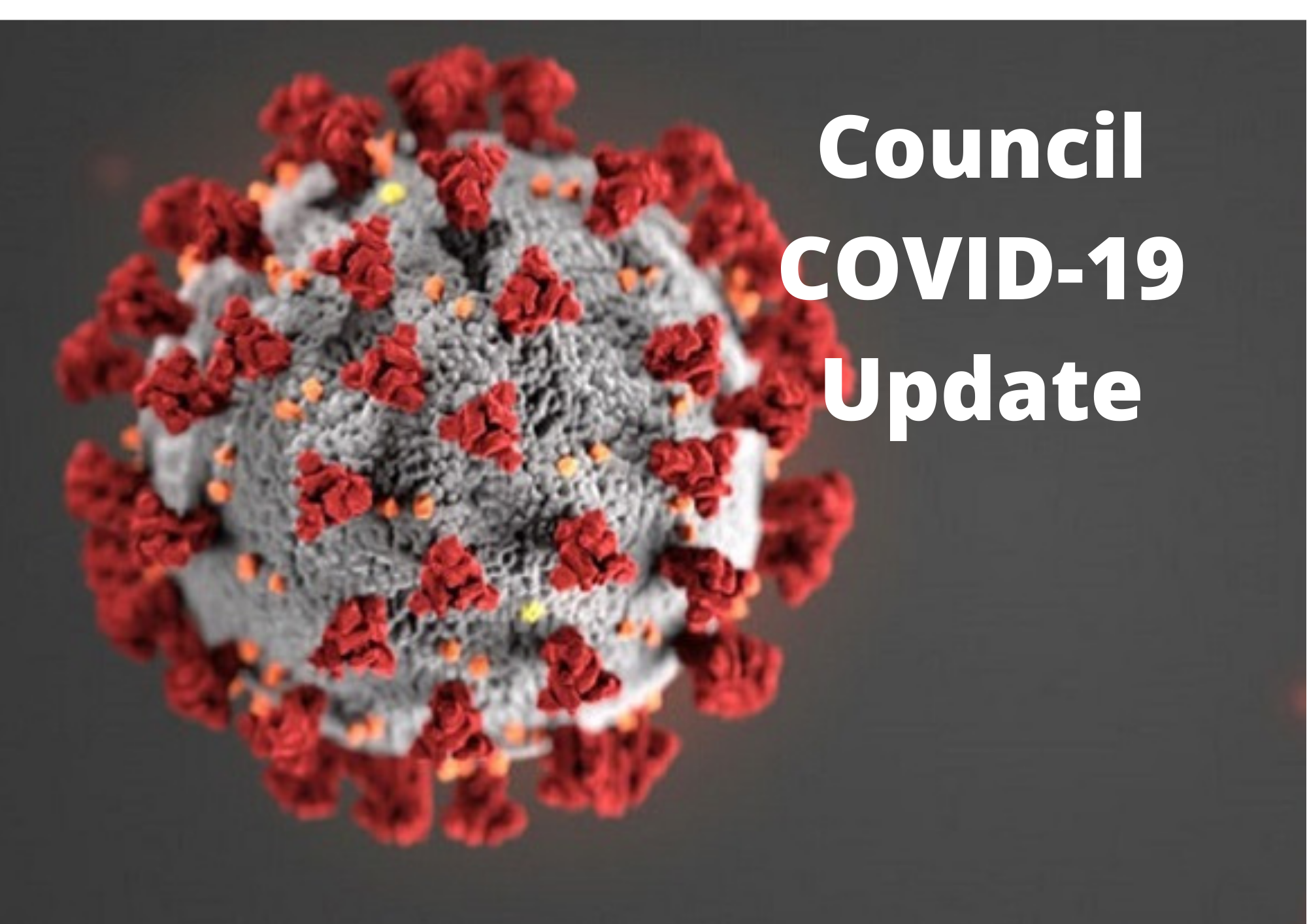 Council Covid Update